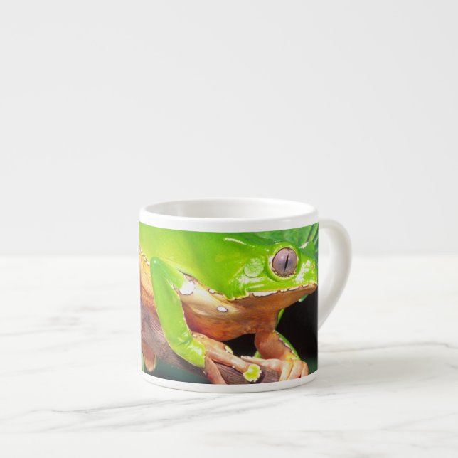 Giant Bicolor Monkey Treefrog, Phyllomedusa Espresso Cup (Front Right)