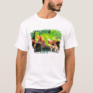 Giant Bicolor Monkey Treefrog, Phyllomedusa T-Shirt