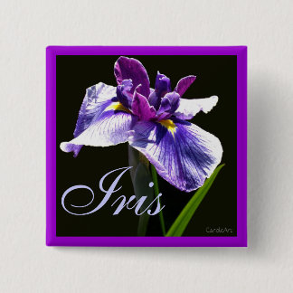 Giant Blue Purple  Iris 15 Cm Square Badge