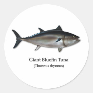 Giant Bluefin Tuna Classic Round Sticker