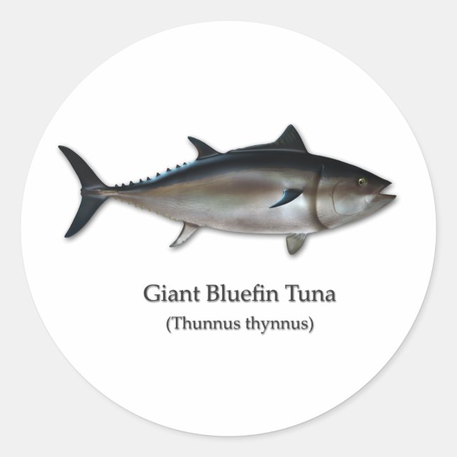Giant Bluefin Tuna Classic Round Sticker (Front)