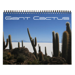 giant cactus 2027 calendar