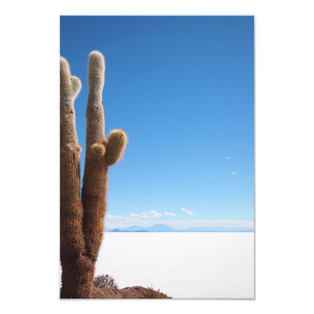 Giant cactus on the Salar de Uyuni photo print (Front)