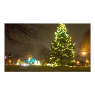 Giant Christmas Tree, Worthington, Ohio Photo Print