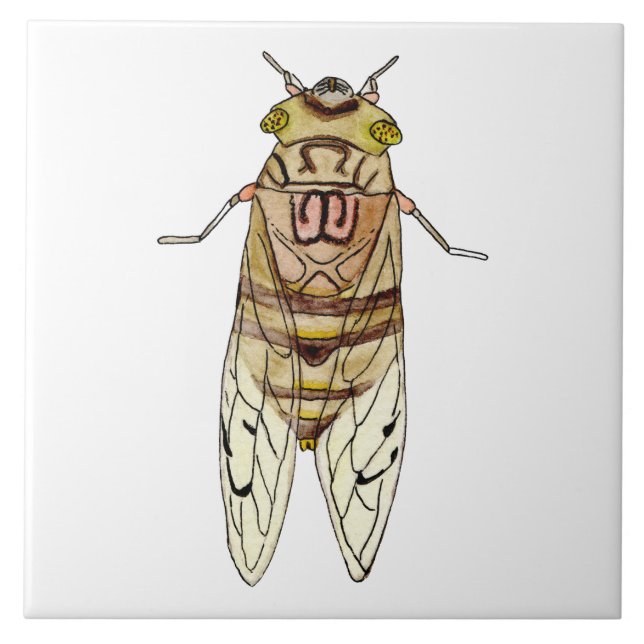 Giant Cicada Tile (Front)