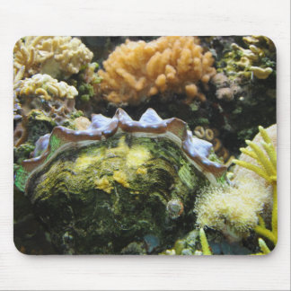 Giant Clam Mouse Pad