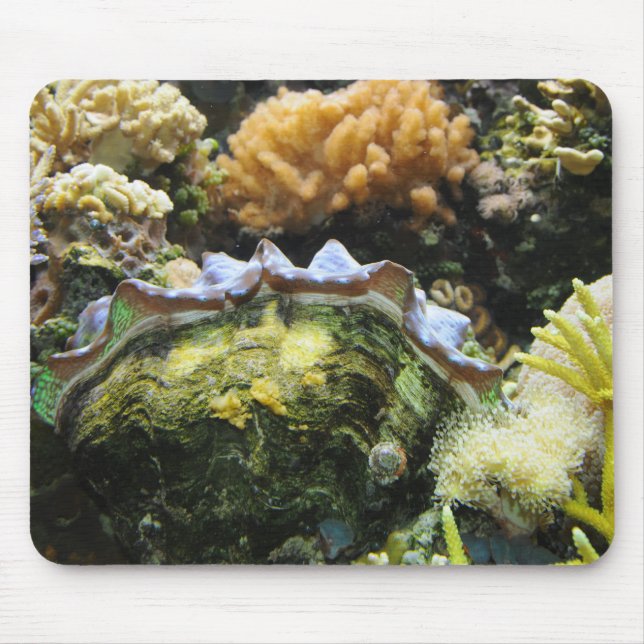 Giant Clam Mouse Pad (Front)