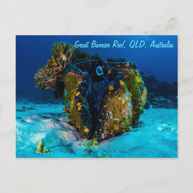 Giant Clam on the Great Barrier Reef Postcard (Front)