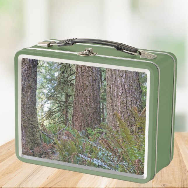 Giant Conifer Forest Photo Metal Lunch Box (In Situ)