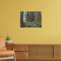 Giant Conifer Forest Photo with John Muir Quote
