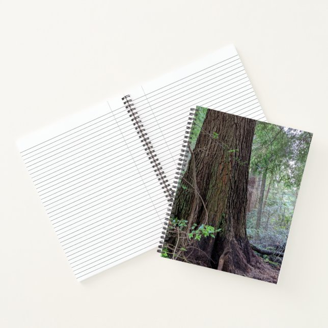 Giant Conifers in a Forest Notebook (Inside)