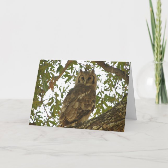 GIANT EAGLE OWL GREETING CARD (Front)
