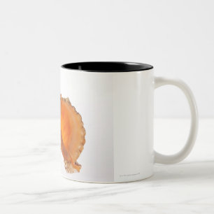 Giant Frog shell (Tutufa bubo) against white Two-Tone Coffee Mug