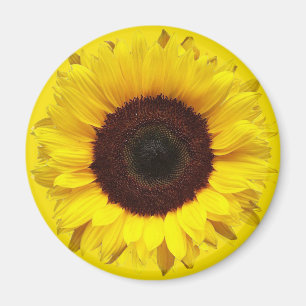Giant Garden Sunflower on Golden Yellow Background Magnet