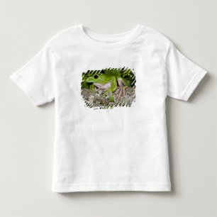Giant Gliding Frog, Polypedates dennysi ssp, Toddler T-Shirt