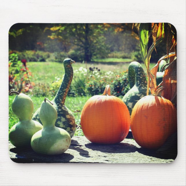 Giant Gourds And Pumpkins Nature  Mouse Pad (Front)