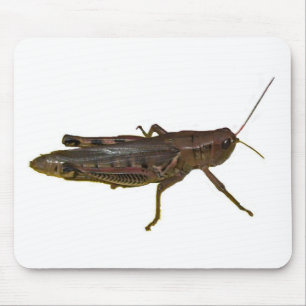 Giant Grasshopper Mouse Pad