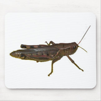 Giant Grasshopper Mouse Pad