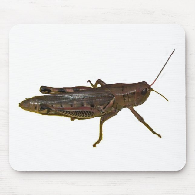 Giant Grasshopper Mouse Pad (Front)