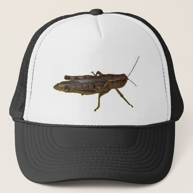 Giant Grasshopper Trucker Hat (Front)