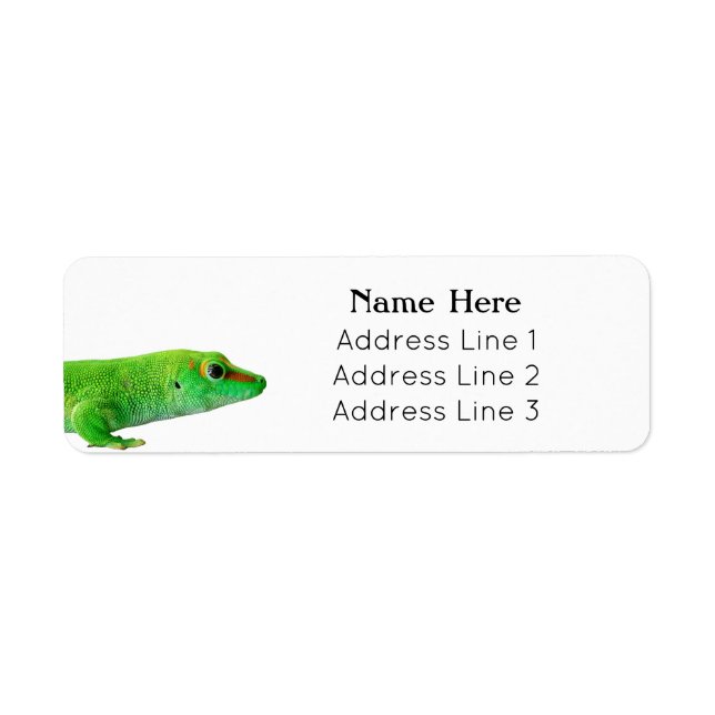 Giant Green Day Gecko - grandis Return address Label (Front)