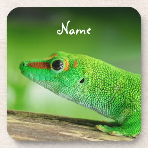 Giant Green Day Gecko - Phelsuma grandis Coaster