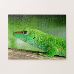 Giant Green Day Gecko - Phelsuma grandis Jigsaw Puzzle