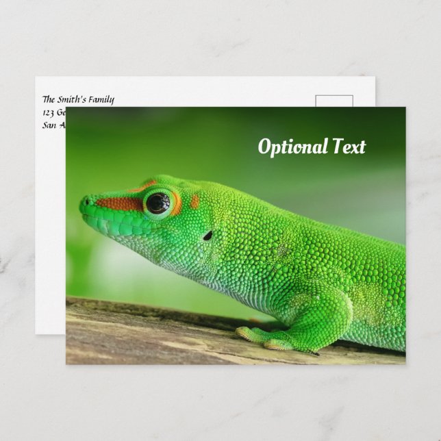 Giant Green Day Gecko Postcard (Front/Back)