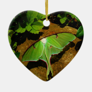 Giant Green Luna moth Ceramic Tree Decoration