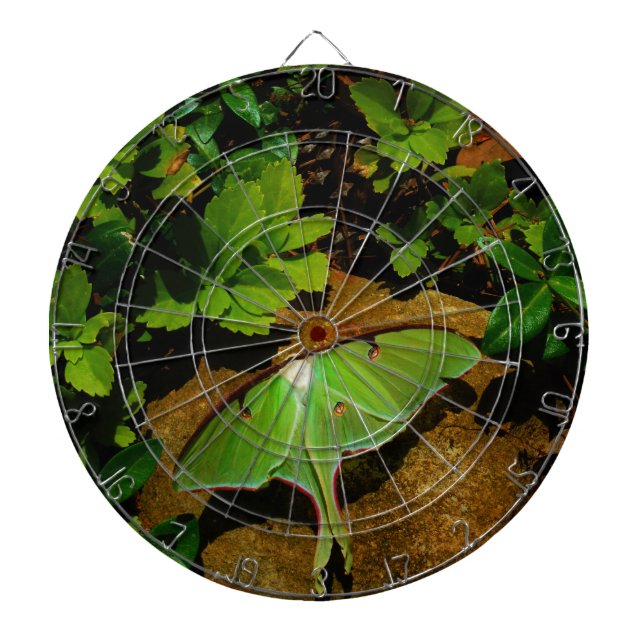 Giant Green Luna moth Dartboard (Front)
