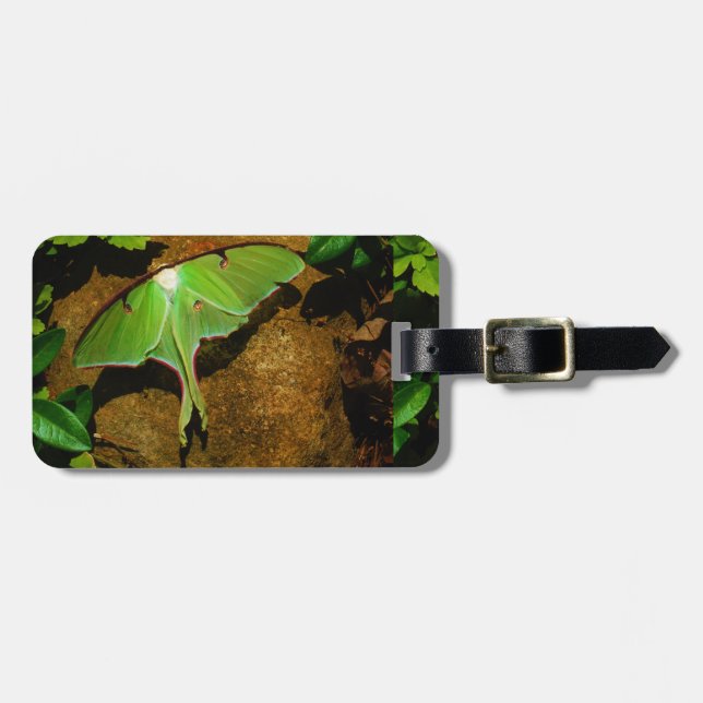Giant Green Luna moth Luggage Tag (Front Horizontal)