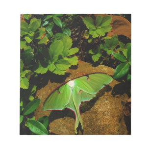 Giant Green Luna moth Notepad