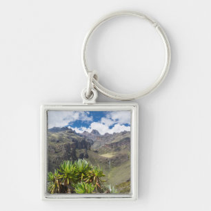 Giant Groundsel Or Dendrosenecio Key Ring