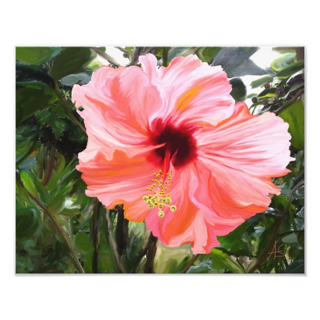 Giant Hibiscus Photo Print (Front)