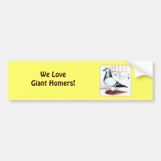 Giant Homer Pigeon 1973 Bumper Sticker (Front)