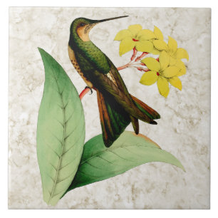 Giant Hummingbird Ceramic Tile