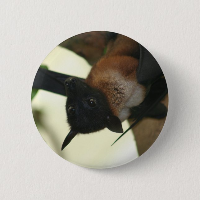 Giant Indian Fruit Bat 6 Cm Round Badge (Front)