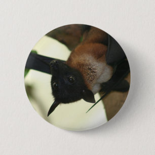 Giant Indian Fruit Bat 6 Cm Round Badge