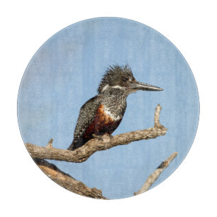 Giant Kingfisher Cutting Board