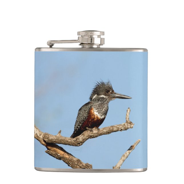 Giant Kingfisher Hip Flask (Front)