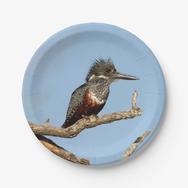 Giant Kingfisher Paper Plate (Front)