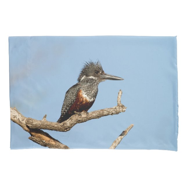 Giant Kingfisher Pillowcase (Front)