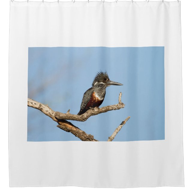 Giant Kingfisher Shower Curtain (Front)