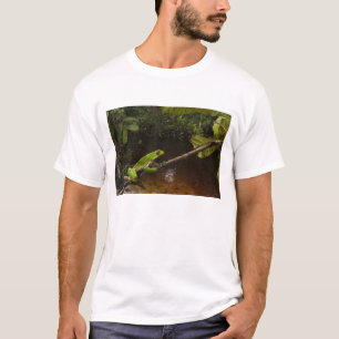 Giant leaf frog Phyllomedusa bicolor) 2 T-Shirt