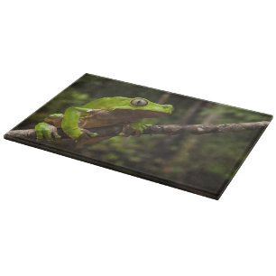 Giant leaf frog Phyllomedusa bicolor) Cutting Board