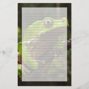 Giant leaf frog Phyllomedusa bicolor) Stationery