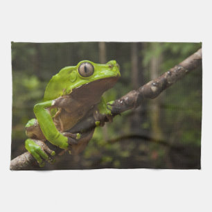 Giant leaf frog Phyllomedusa bicolor) Tea Towel