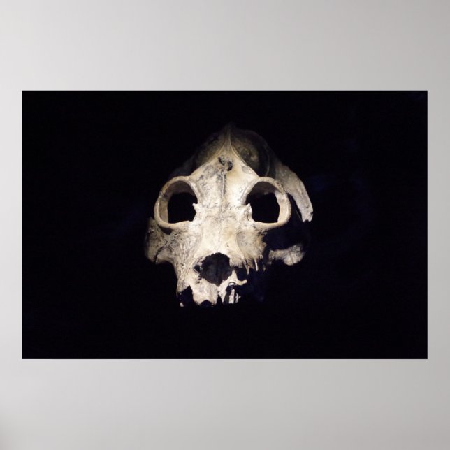 Giant Lemur Poster (Front)