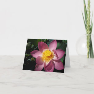 Giant Lily Notecard