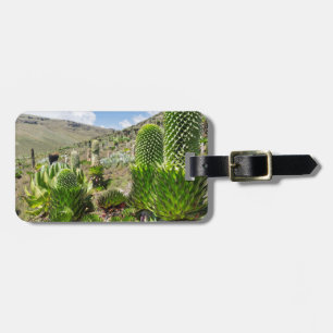 Giant Lobelia (Lobelia Deckenii) In Mount Kenya Luggage Tag